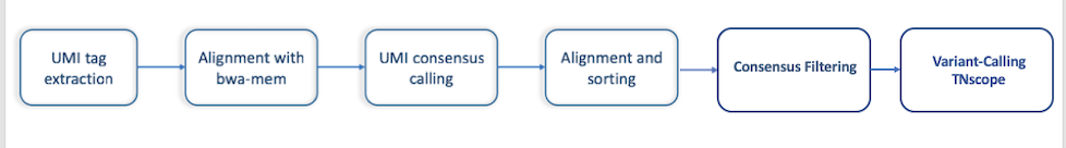 _images/UMIworkflow.png